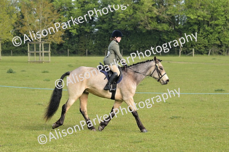 20260426-0877 - Class 18 - Novice Showing