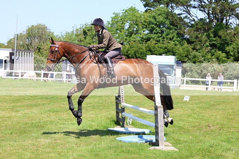 3E7A7456 - Class 31: Working Hunter Cob/Riding Horse