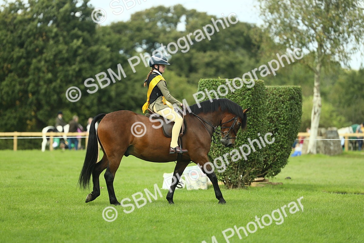 SBM_44853 - Working Hunter Pony Supreme Championship