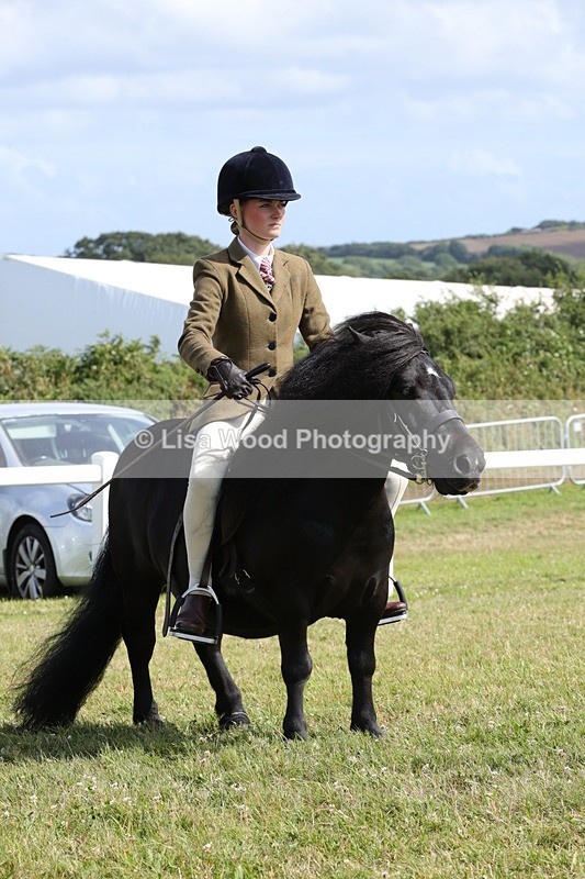 1X9A5635 - Class 39: NPS Dartmoor, Exmoor, Shetland