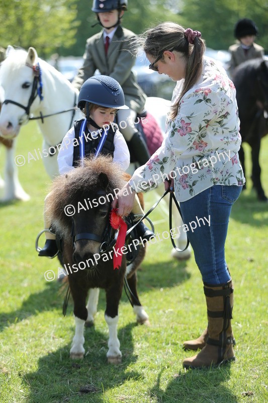 20250427-2748 - Class 6 - Pony Judge Would Most Like To Take Home