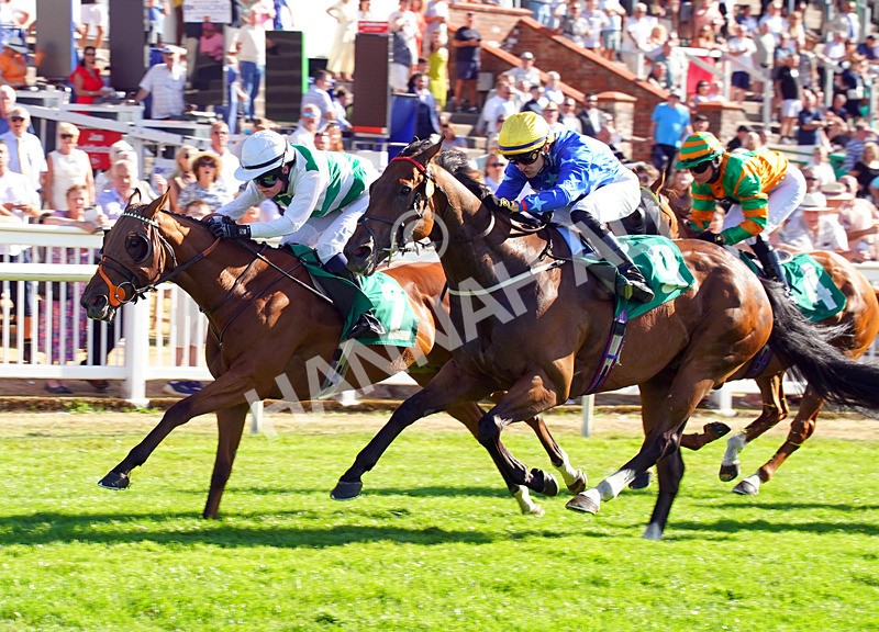 240726-Race 7-Sunlit Sea-01963 - Race 7 17.27pm Racing Excellence Apprentice Handicap