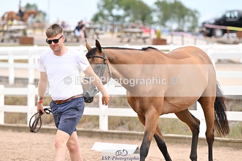 250716-161429-02515 - Trot Up 3.30 to 4.30