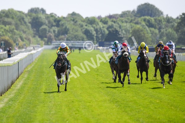 270523-Race 2-Native American-0286 - Race 2 2.10pm Collective Green Energy EBF Restricted Novice Stakes