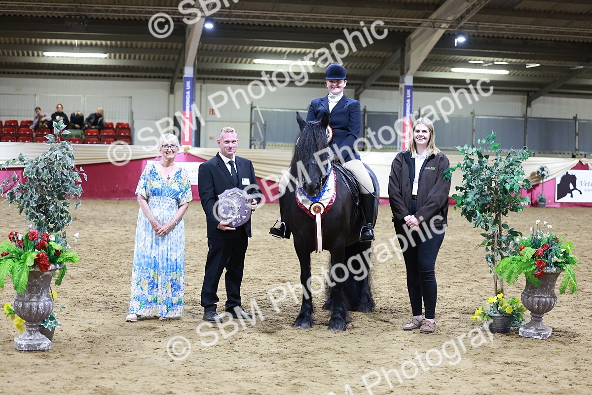 SBM_20908 - Class M - Equitation Champ