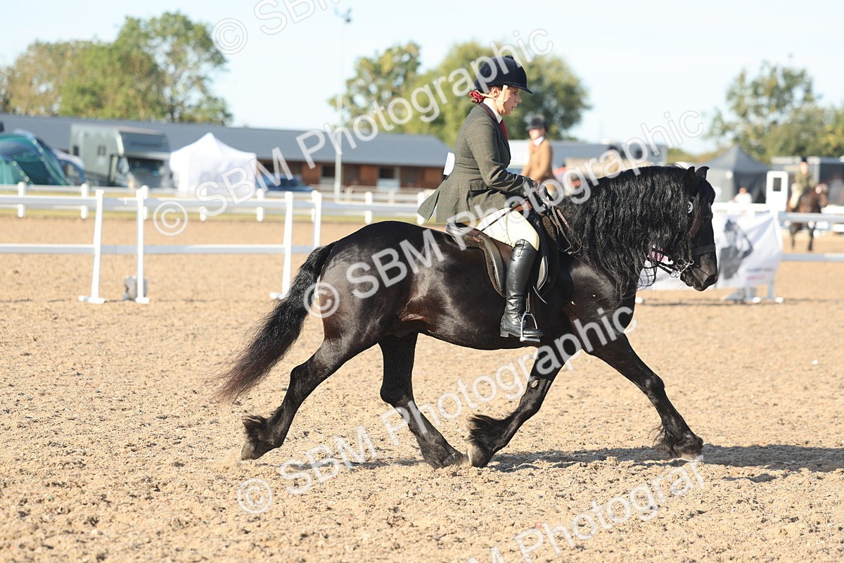 SBM_11024 - Class 302 - Ridden M&M Large Breeds