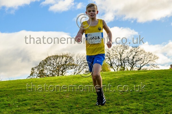 NatRel25-914357 - Young Male Set One