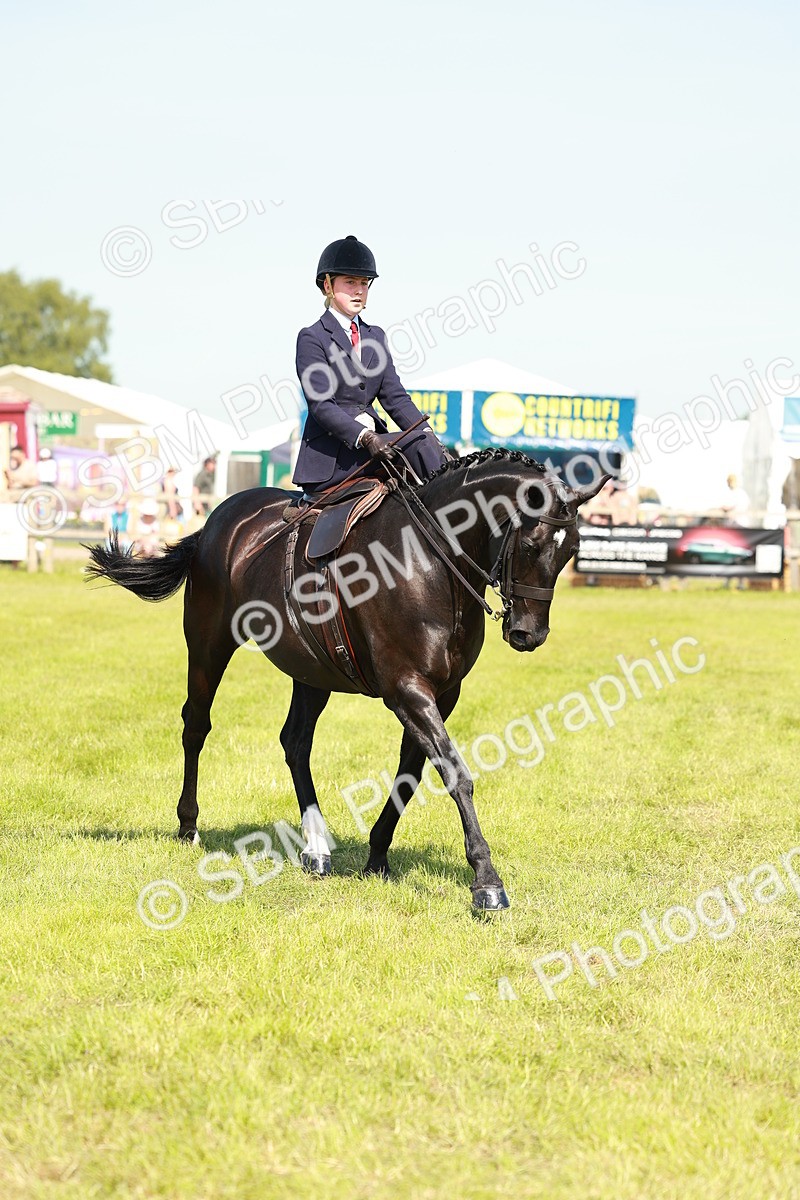 SBM_13340 - Class 70-71 - Side Saddle