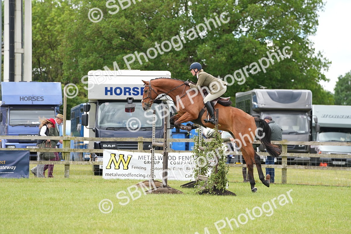 SBM_14919 - Class 100-102 - RIHS Working Hunter