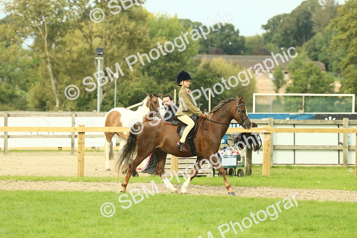 SBM_69879 - S59 - Mountain & Moorland Ridden Small Breeds