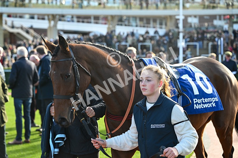 251025-Race 4-Ma Shantou-9082 - Race 4