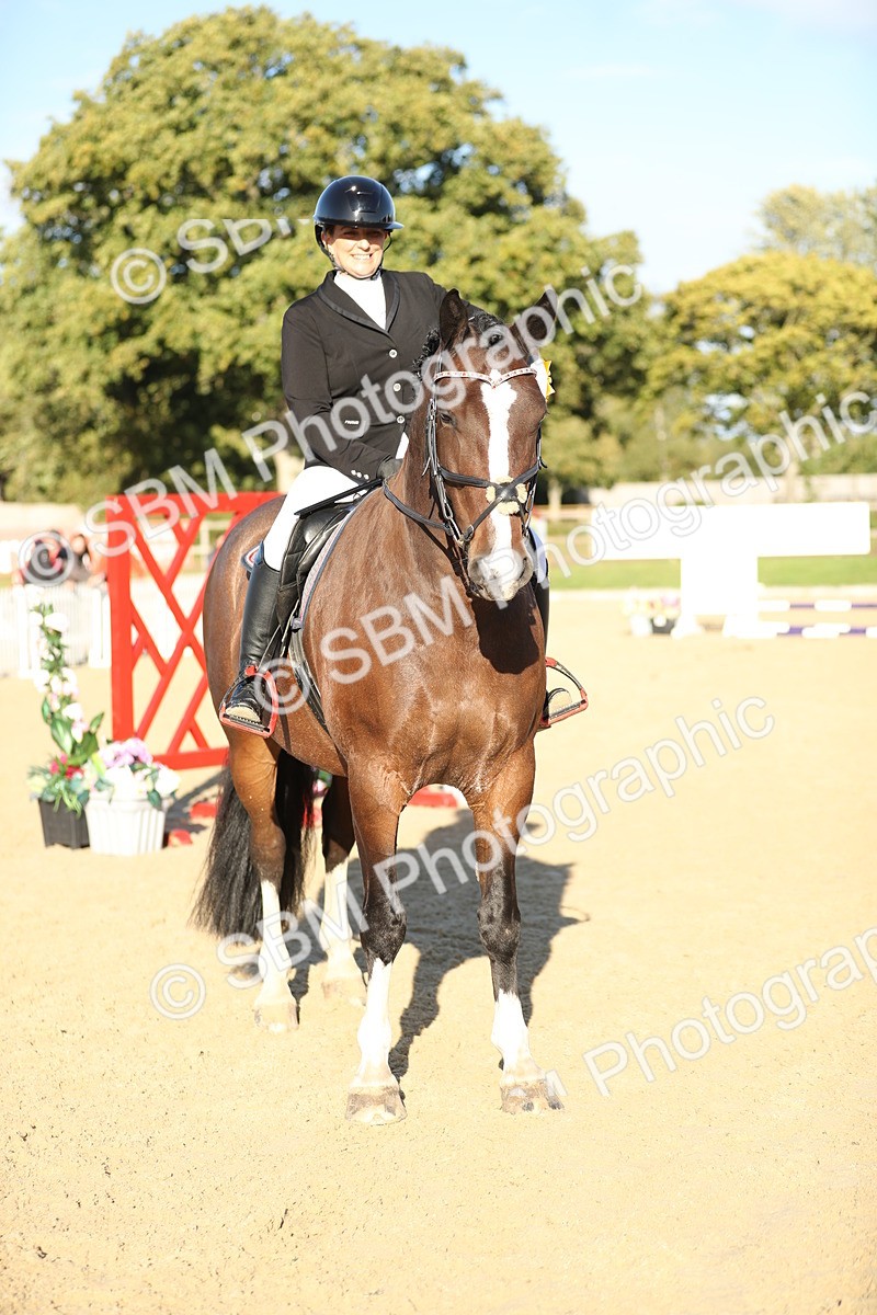 SBM_11510 - J37 - Veteran Rider 75cm