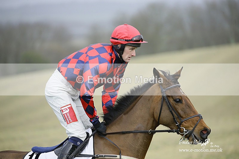 PtP 200222 289 - Countryside Alliance PtP Badbury Rings 20/02/22