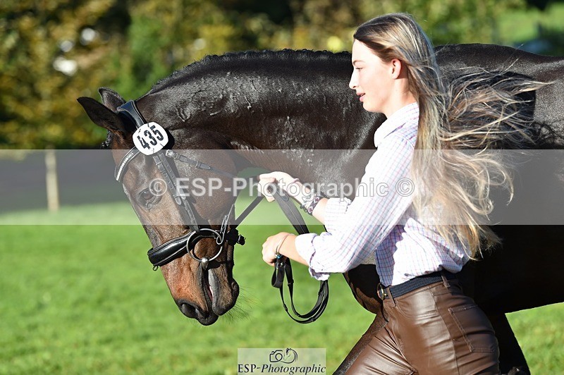 231022-102508-22469 - 435-TIMASSINI-Lana.Bennett-TrotUp+SJ