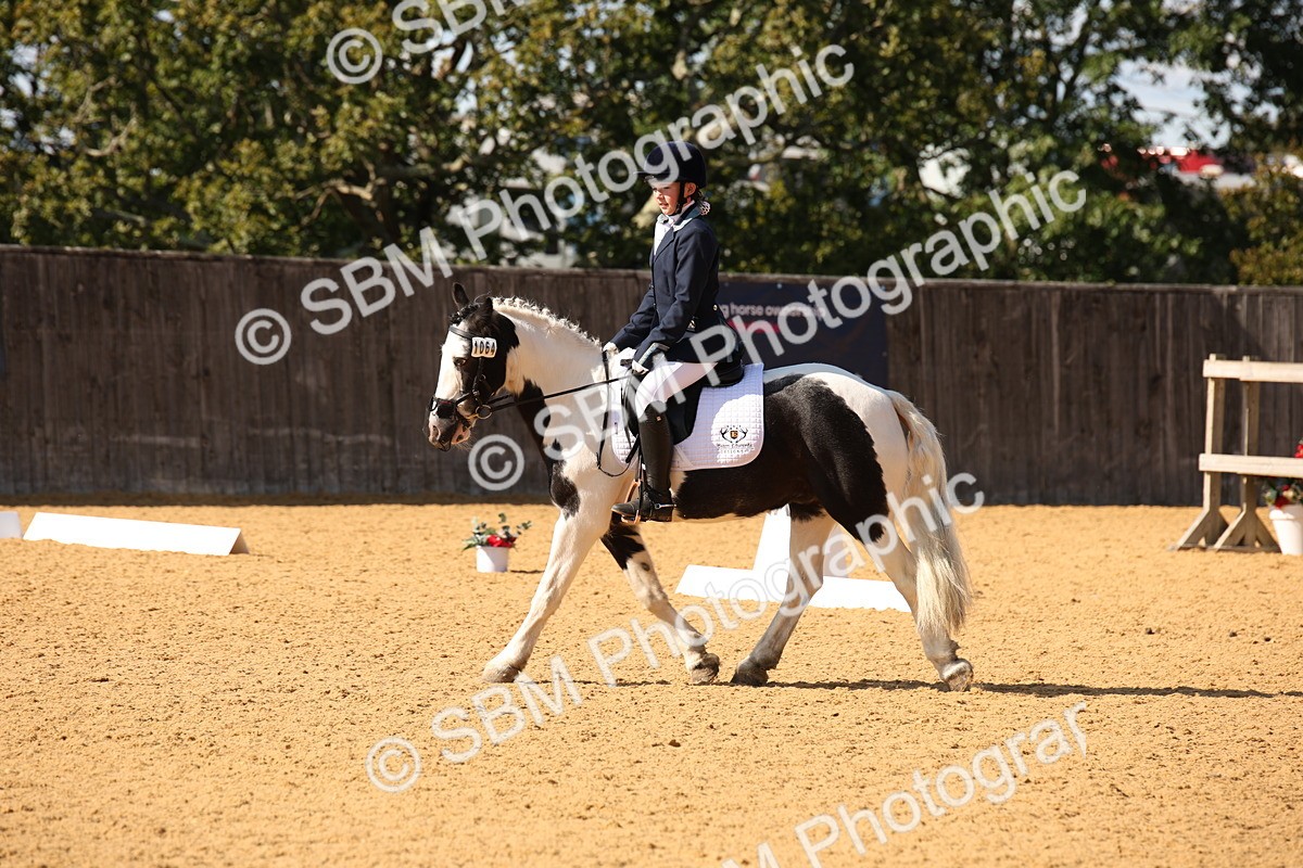 SBM_24279 - D5 - Small Tour Championship - Intro C
