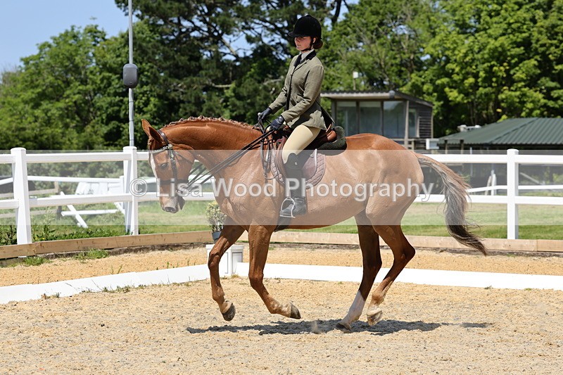 1X9A1886 - Class 12: Ridden Riding Horse/Hack