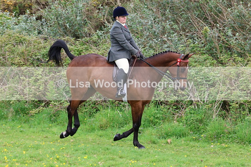 3E7A1737 - Class 9: Riding Club Horse/Pony