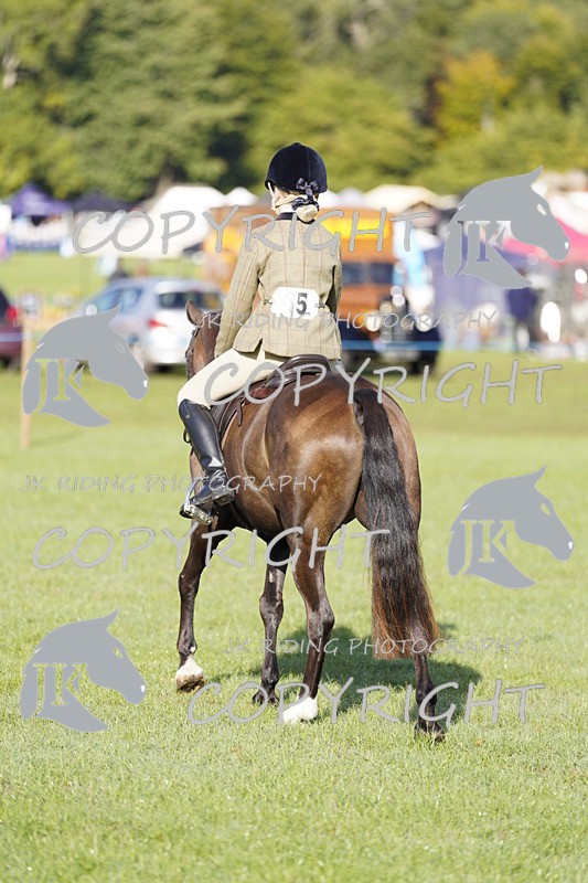_DSC9420 - Class 8 & 17 Ridden Hunter & Ridden Hunter Pony