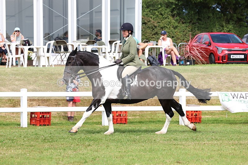 3E7A0200 - Class 6: Rising Star Maxi Cobs