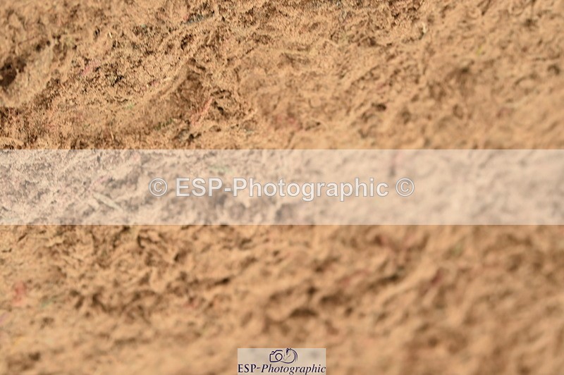 231122A-131042-00428 - Cls 4 Newcomers & 1.10m Open