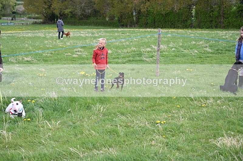 WJ6_8032 - Class 2 Best Pedigree