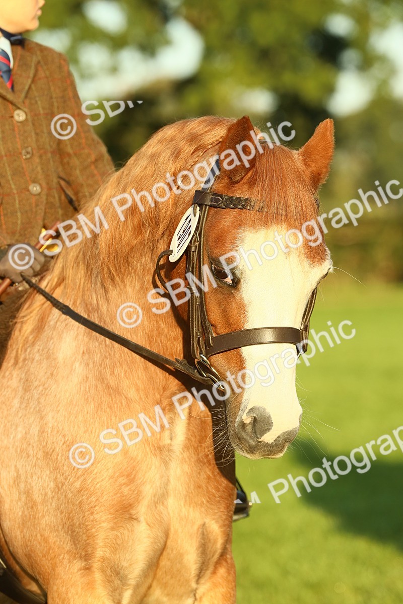 SBM_56577 - S36 - Starters Best Turnout