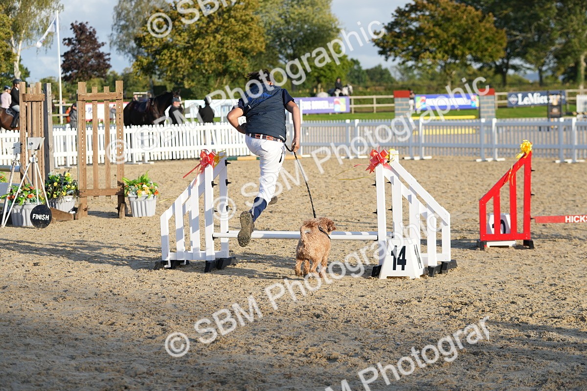 SBM_29452 - J44 - Horse & Hound Open 70cm