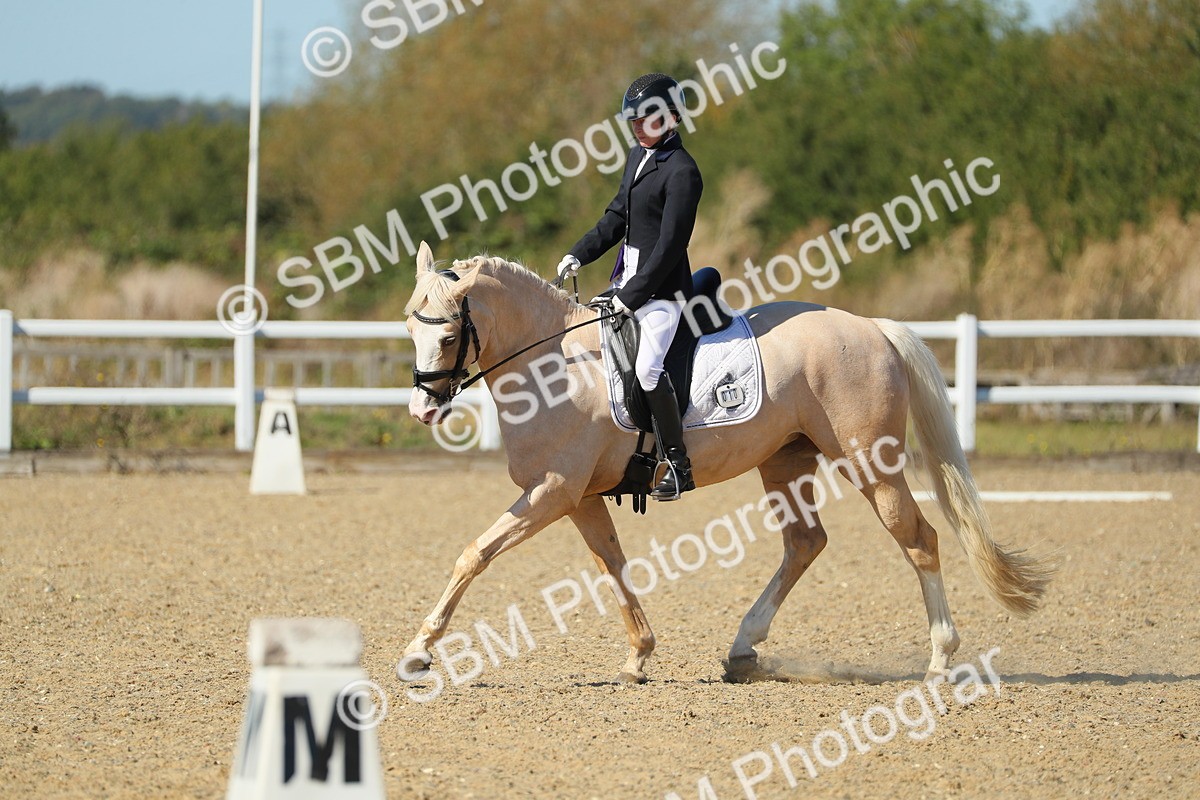 SBM_001553 - Class 7 - E4