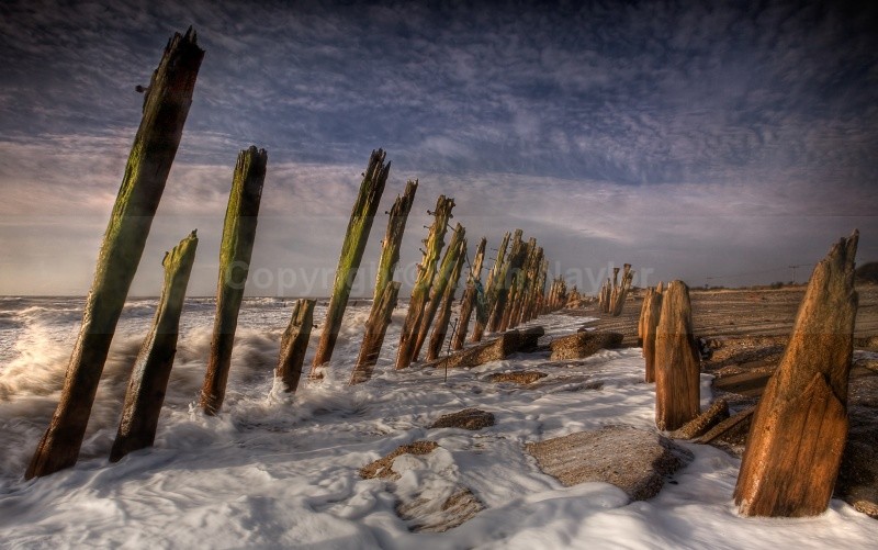Spurn Defences II - 2008