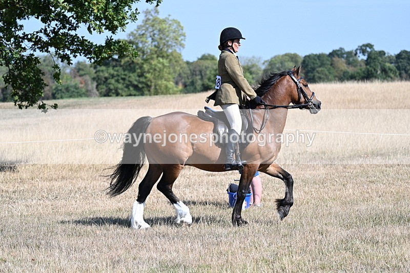 WJ7_3746 - Class 9 Mountain & Moorland Ridden