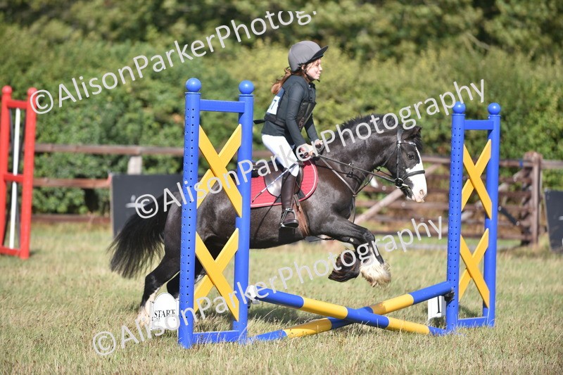 20260906-0938 - Class 7 - Absolute Novice Jumping 35cm