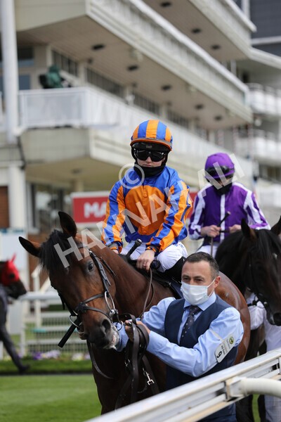 yr13052021r4-15 - Race 4 3.10pm Al Basti Equiworld Dubai Dante Stakes
