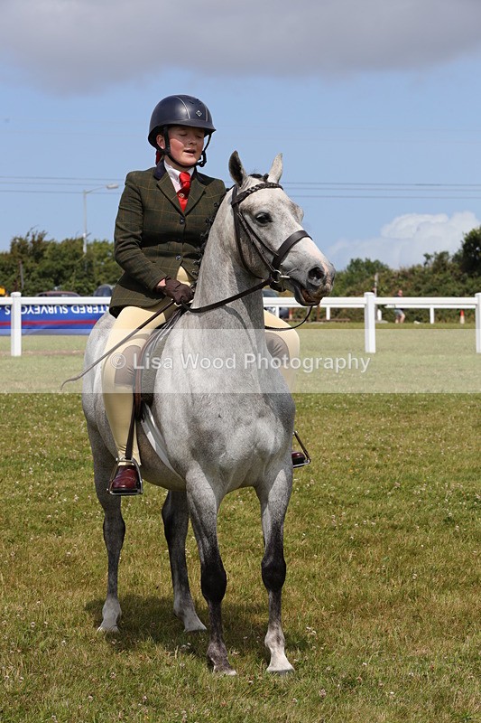 1X9A4107 - Class 32: Show Hunter Pony 153cm and under