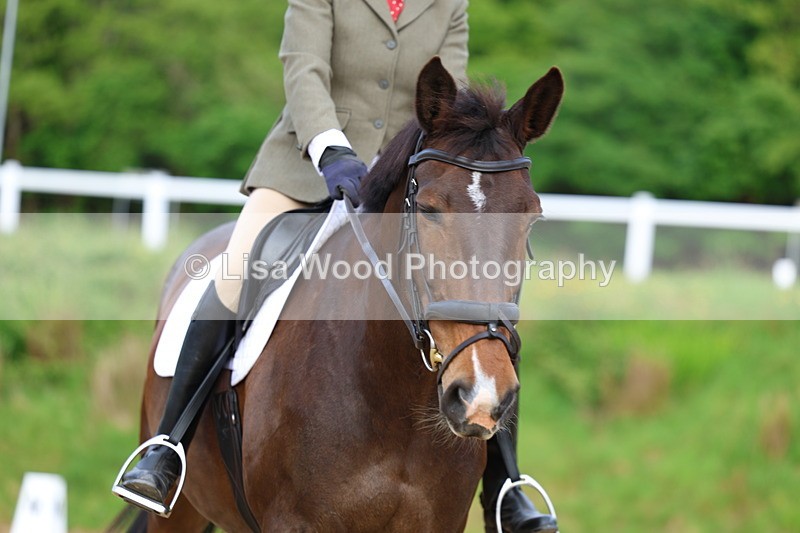 3E7A3542 - Class 2: INTRO B- INTRO 3 2024