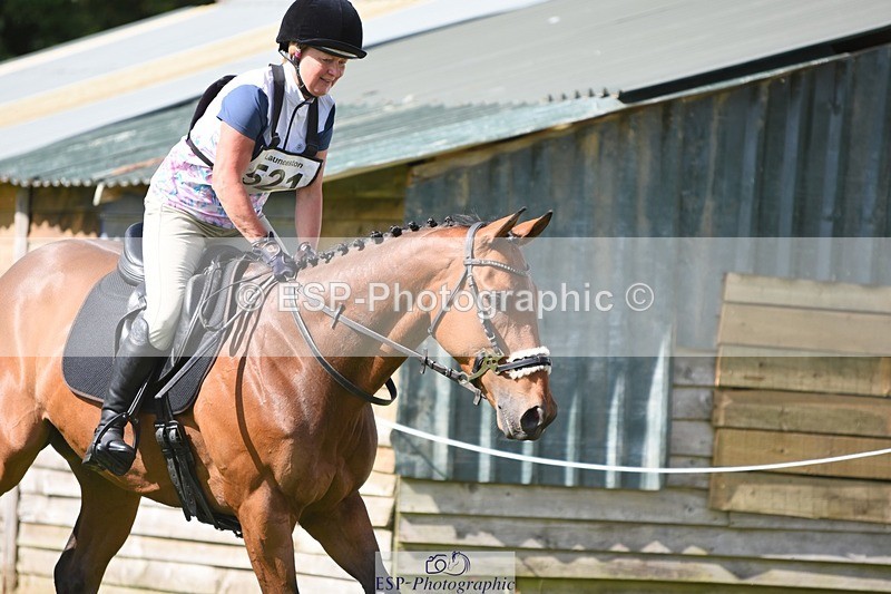 230625-164224-07401 - SJ80 15.50 to 16.50