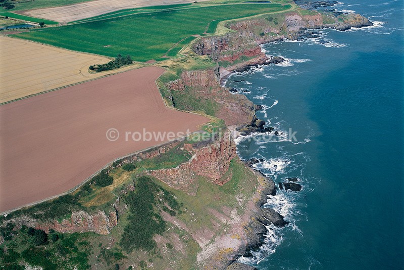 A00740I Sandstone cliffs from Red Head to Auld Mains south of Lunan Ba - East and north coastlines