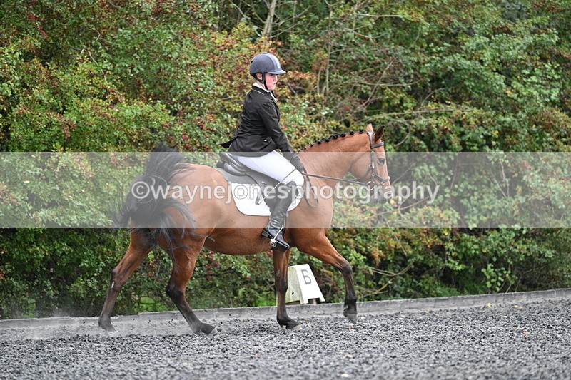 WJ7_3631 - Time 11:04 to 11:38