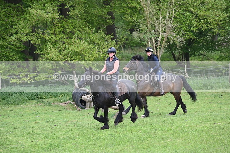 WJ6_2671 - A camera