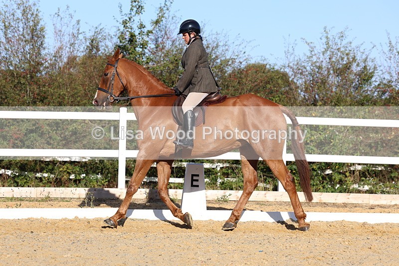3E7A5190 - Class 7: Novice Ridden Hunter/Hack/RH/Cob