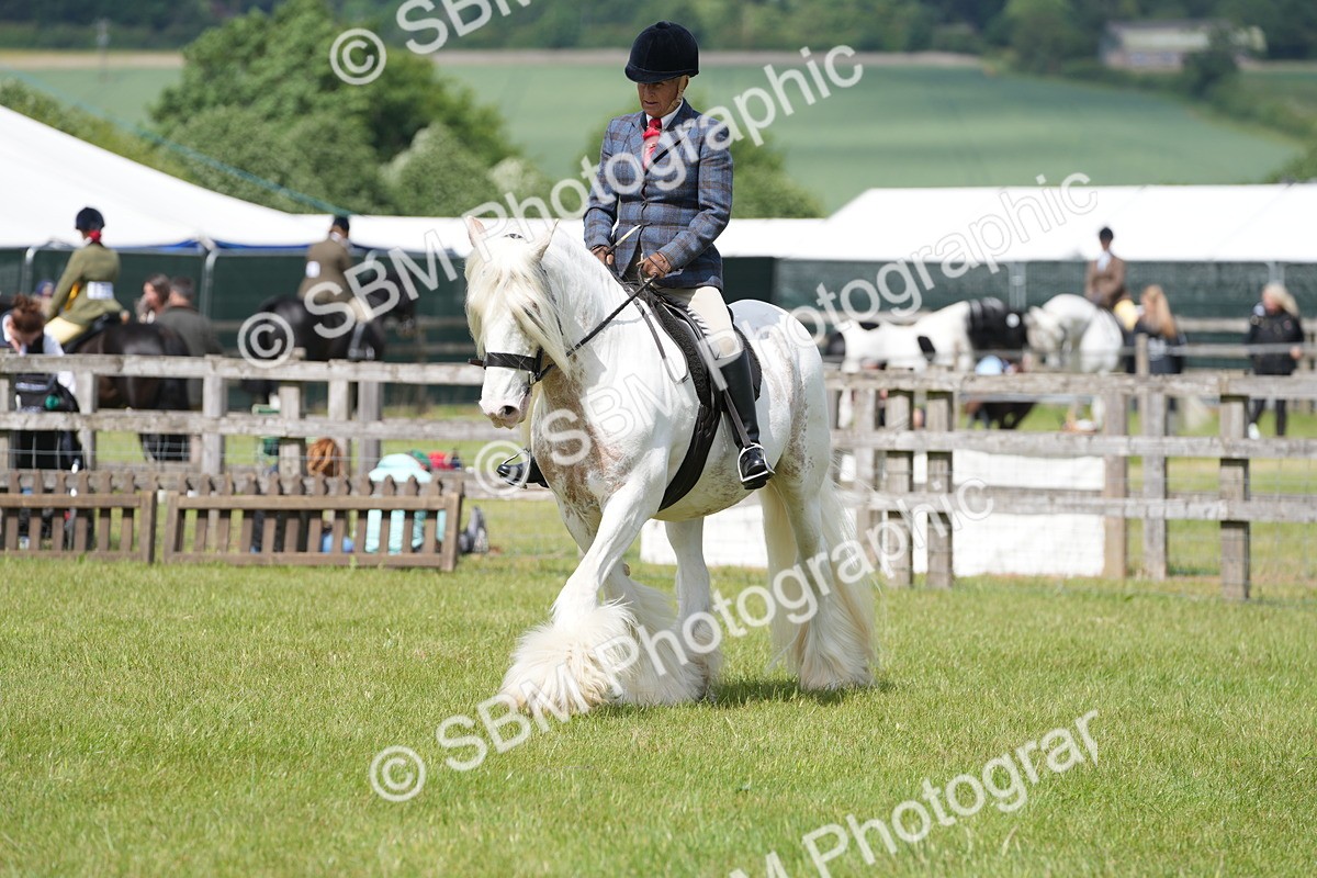 SBM_17182 - Class 107-108 - LIHS BSPS Performance Coloured Horse Pony
