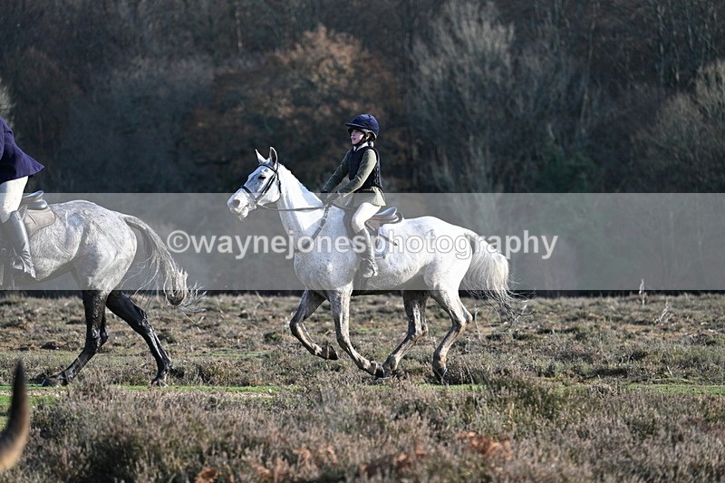 WJ7_7981 - Line 3 (no line 4 or 5)