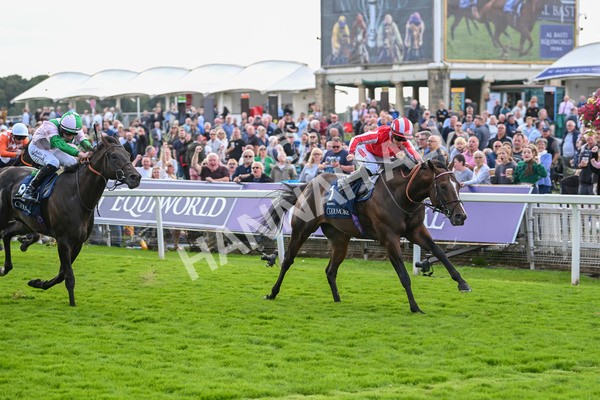 230824-Race 4-Bradsell-9420 - Race 4 3.35pm Coolmore Wootton Bassett Nunthorpe Stakes