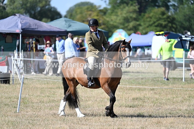 WJ7_3577 - Class 9 Mountain & Moorland Ridden