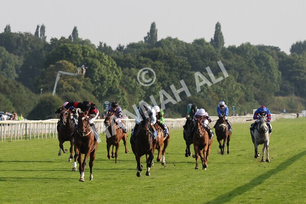 yr05092021r7-18 - Race 7 5.10pm Yorkshire Regiment Stakes