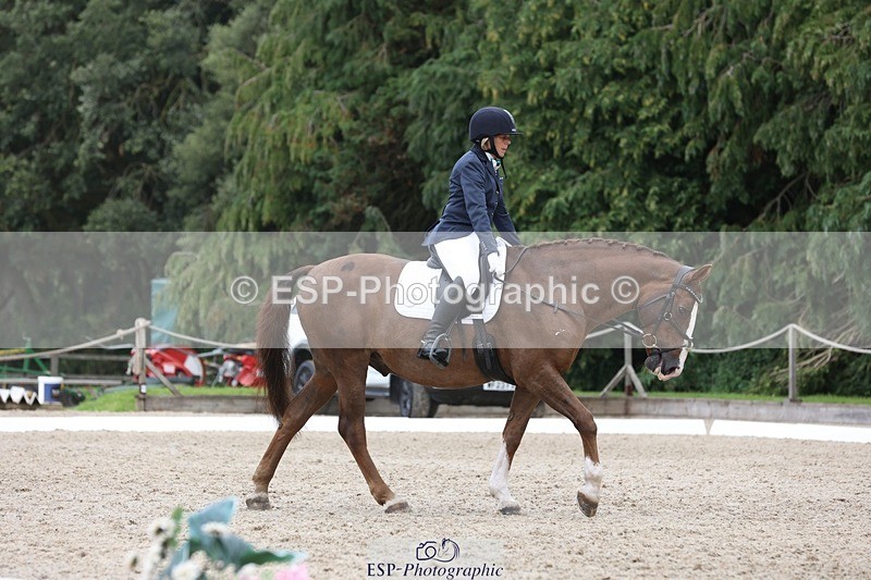 230812-134853-04320 - Cls 5 Novice Bronze 13.40 to 14.45 break