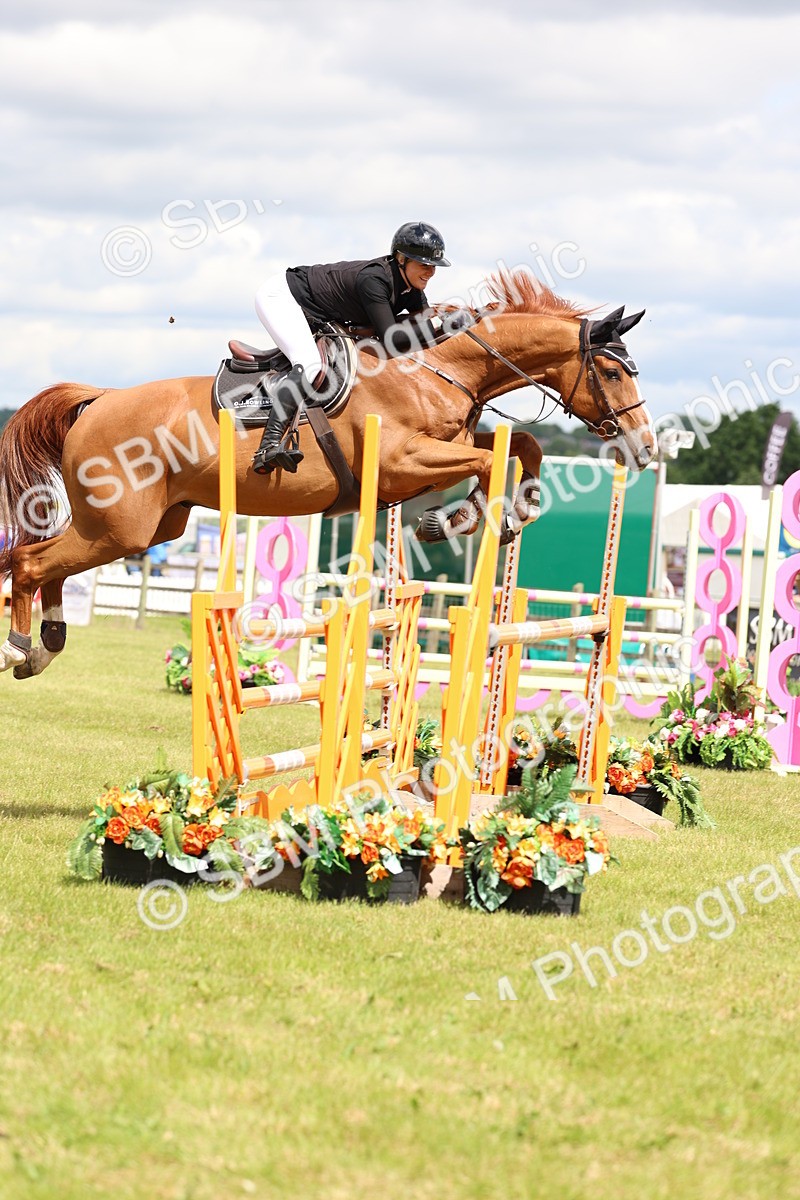 SBM_13852 - Class 206 - Senior Newcomers - 1.10m Open