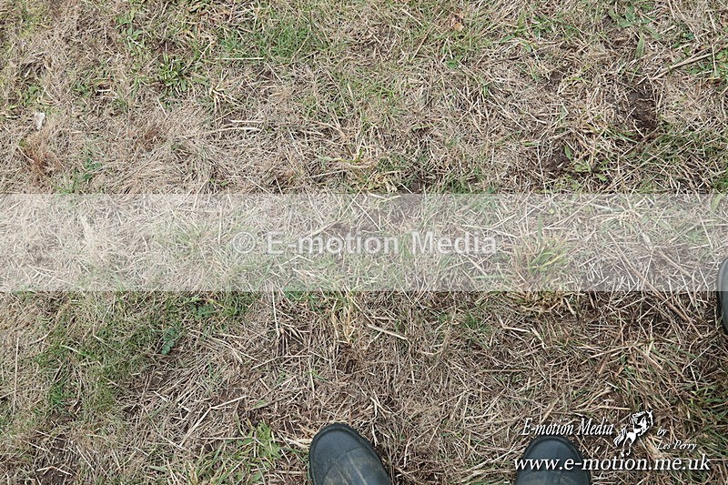 PtPres 160225165 - Presentations Combined Services PtP 16/02/25