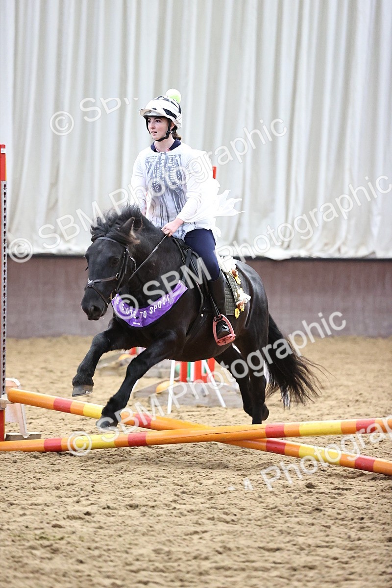 SBM_000288 - Class 2 - Show Jumping 50cm