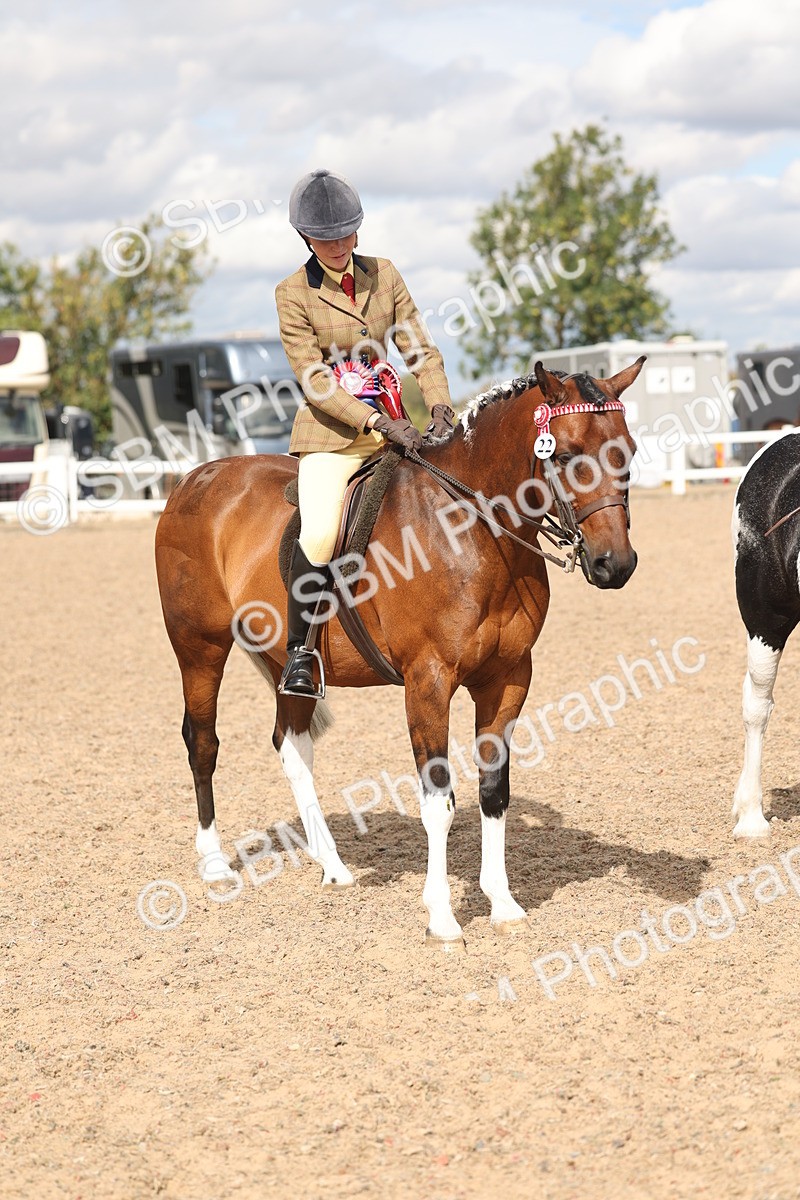 SBM_14678 - Class 307 - Ridden Coloured Pony