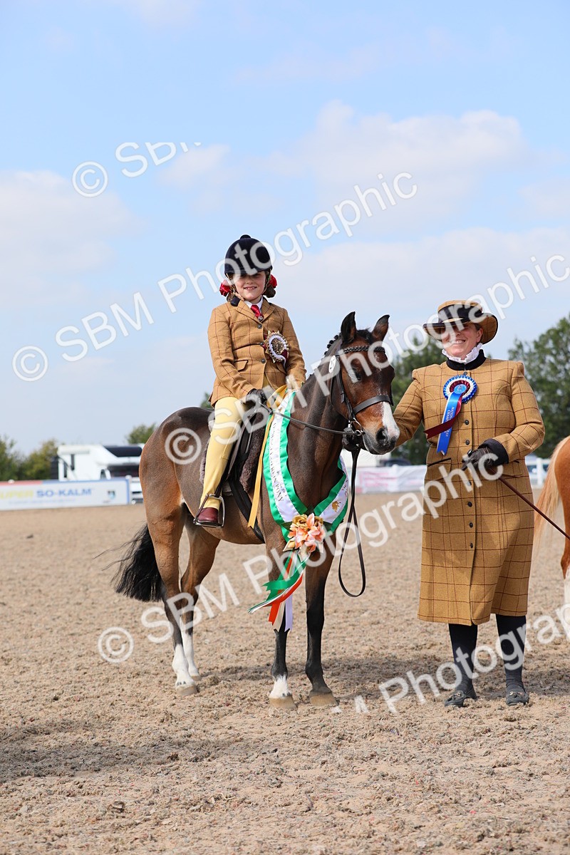 SBM_14097 - Class 309 Lead Rein Pony